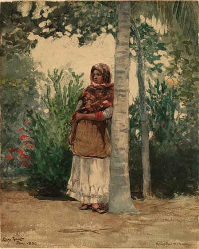 Sotto una palma da Winslow Homer
